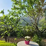 B&B Dalmace 3*