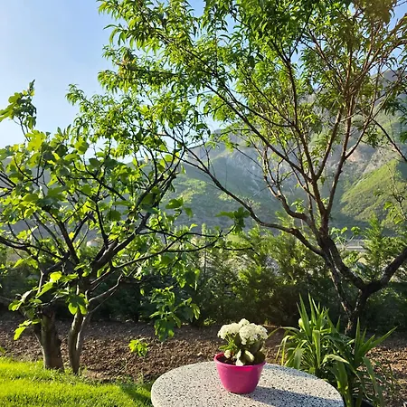 Bed & Breakfast Dalmace 3*